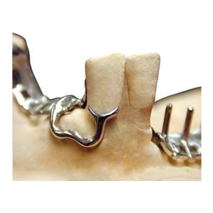 Elite Rock Die Stone Type IV Extra Hard Cream 55Lb/Bg