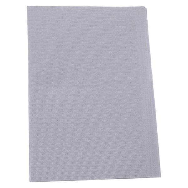Essentials Patient Bib 2 Ply Tiss/Poly 13 in x 18 in SlvrGry Disposable 500/Ca