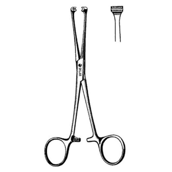 Allis Tissue Forcep Straight 8" Ea