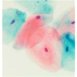 EasyPap Stain Papanicolaou 1gal Ea