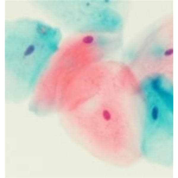 EasyPap Stain Papanicolaou 1gal Ea