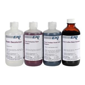 Stain Kit Gram With 35deg Labeling Area Ea