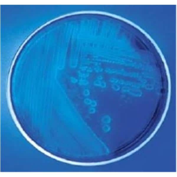 Culture MacConkey Agar Monoplate 10/Pk
