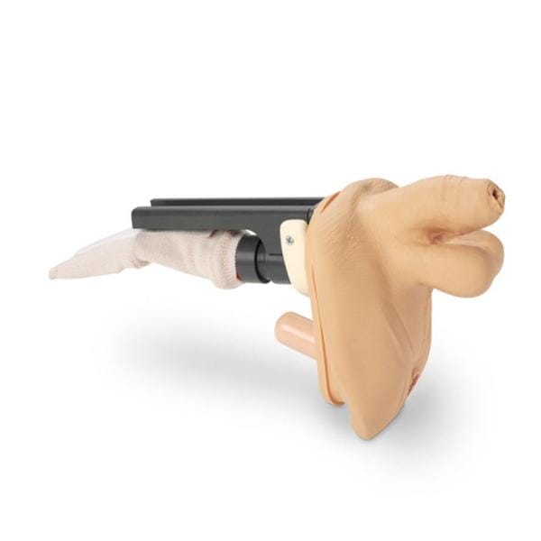 Genitalia GERI / KERI Training Male Model Ea