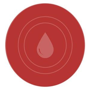 Triglycerides GPO-PAP Reagent 10x50mL Kit Ea