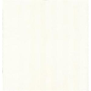 Cubicle Curtain Antimicrobial White Ea