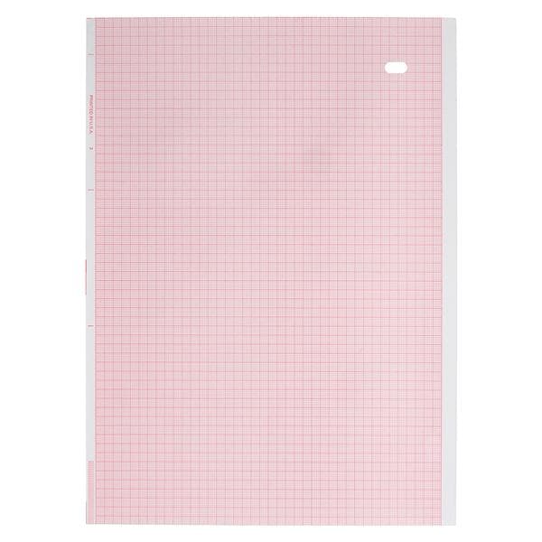 ECG Paper New 300/Pk