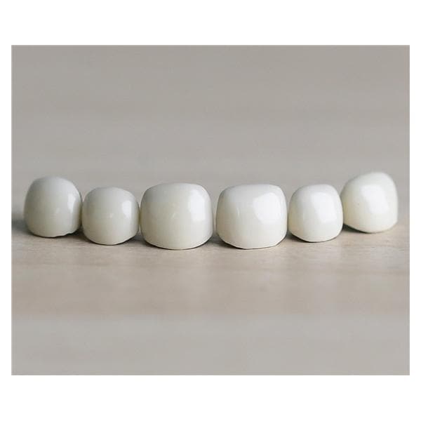 ACERO Crowns Size 4 Primary Anterior Upper Cuspid 1/Bag Ea