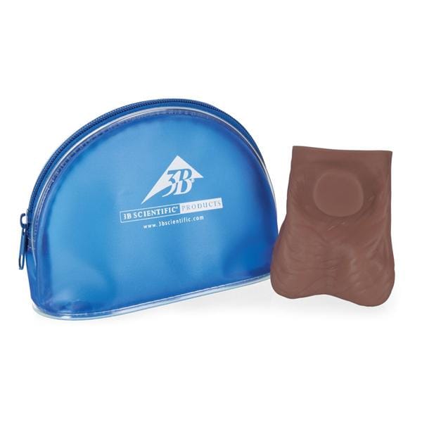 Testicle Training Model Ea