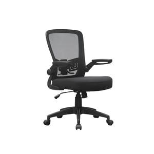 Deluxe Mesh Back Ergonomic Task Chair Ea