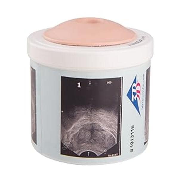 Prostate Examination Trainer Ea