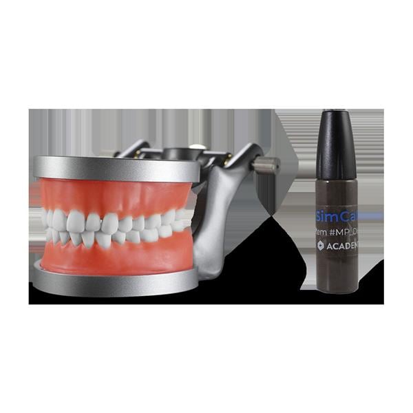 Acadental Hygiene Model Ea