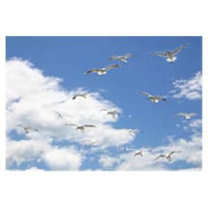 CeilingScenes Acoustic Tile Seagull Sky 1-Tile Square 24 in x 24 in Ea