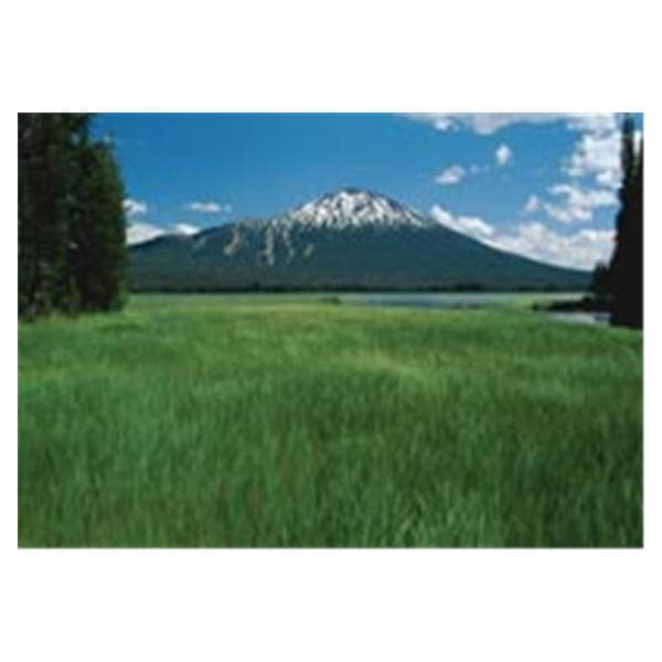 CeilingScenes Acoustic Tile Snow Cap Mountain 1-Tile Square 24 in x 24 in Ea