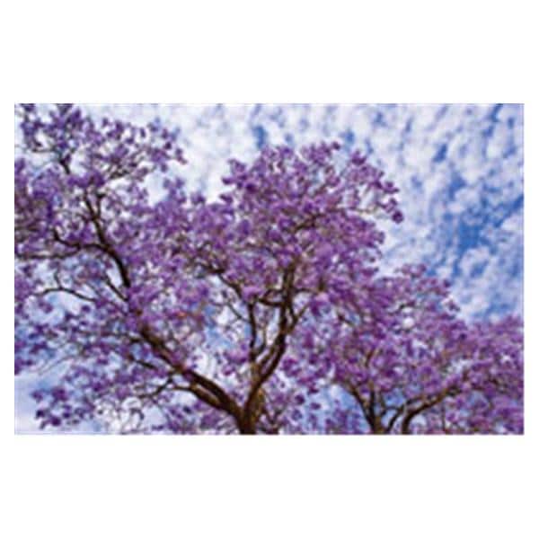 CeilingScenes Acoustic Tile Jacaranda 4-Tiles Square 24 in x 24 in Ea