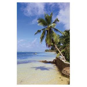 CeilingScenes Light Lens Palms 2-Tiles Vertical 24 in x 24 in Ea