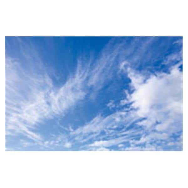 CeilingScenes Light Lens Fall Clouds 4-Tiles Square 24 in x 24 in Ea