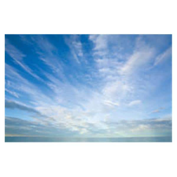 CeilingScenes Light Lens Cumulus Clouds 2-Tiles Horizontal 24 in x 24 in Ea