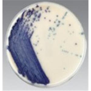 BHI Agar Culture BHI Agar: Brain Heart Infusion Agar 6mcg/mL Monoplate 10/Pk