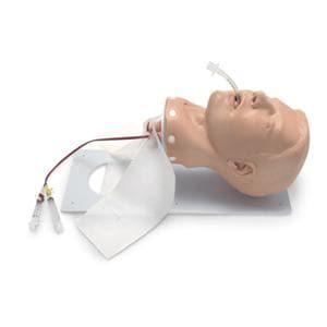Head Training Adult Male Manikin Ea