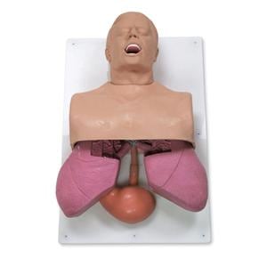 Simulaids Airway Management Adult/Infant Trainer Ea