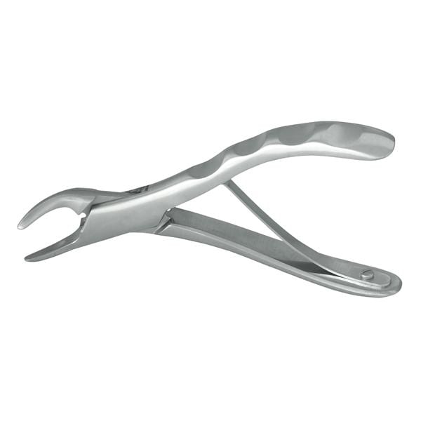 Extracting Forceps Size 151 Anatomical Lower Universal Nordent Pedo Ea