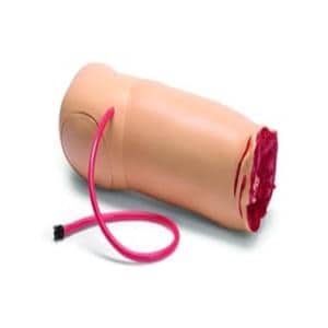 Amputated Bleeding SmMn Mnkn (No Bleeding Ctrl w/ SmMn ALS) Training Arm Ea