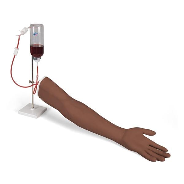 Training Venipuncture and Injection Arm Arm Ea