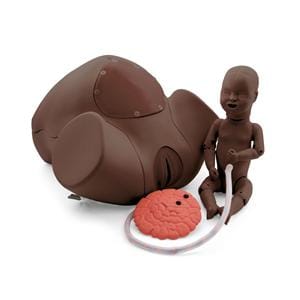 3B Scientific Birthing Simulator Ea