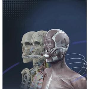 Sym Anatomy Sports Anatomy Training Software Ea