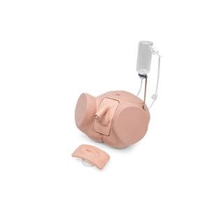 3B Scientific Catheterization Male/Female Simulator Ea