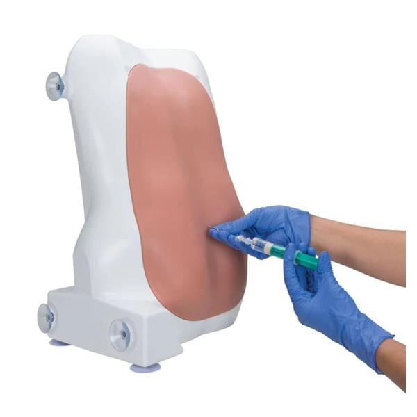 3B Scientific Spinal Injection Trainer Ea