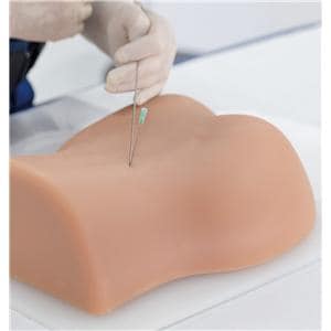 3B Scientific Lumbar Spinal Column Injection Teaching Trainer Ea