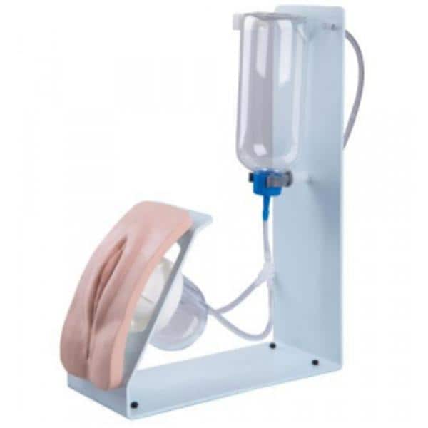 3B Scientific Catheterization Female Simulator Ea