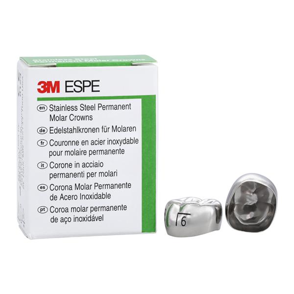 3M Crowns Size 6LL6 1st Permanent Lower Left Molar Replacement Crowns 5/Bx