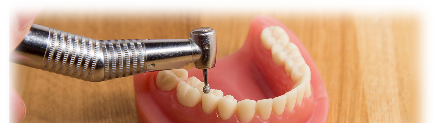 Maxima Elite MULTIflex Coupler 5 Hole Fiber Optic Ea